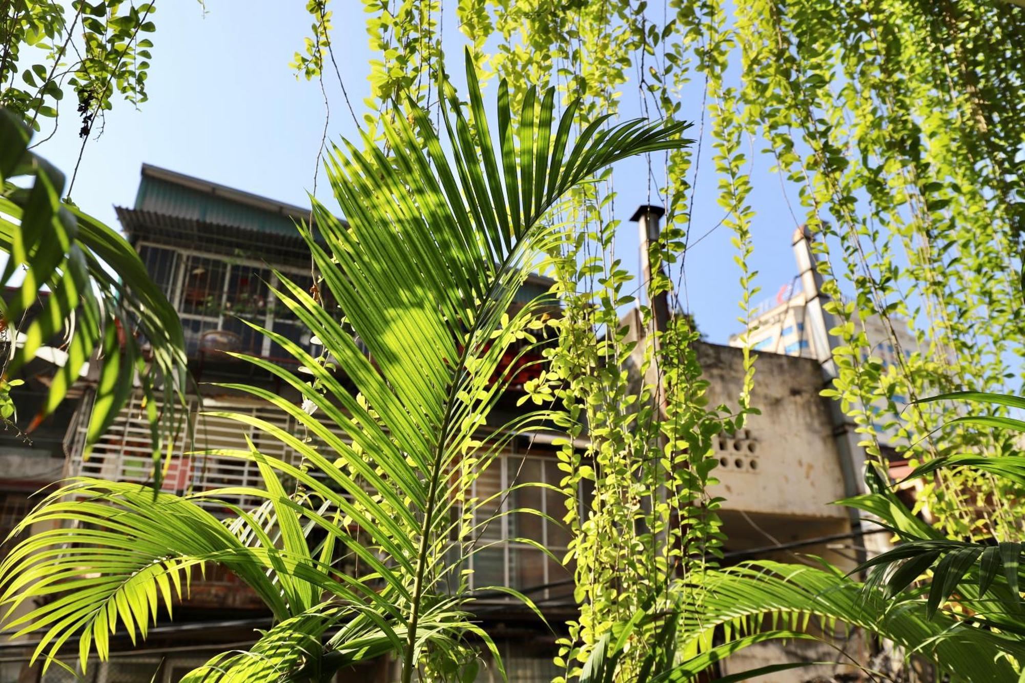 Appartamento The Garden House Hanoi Esterno foto