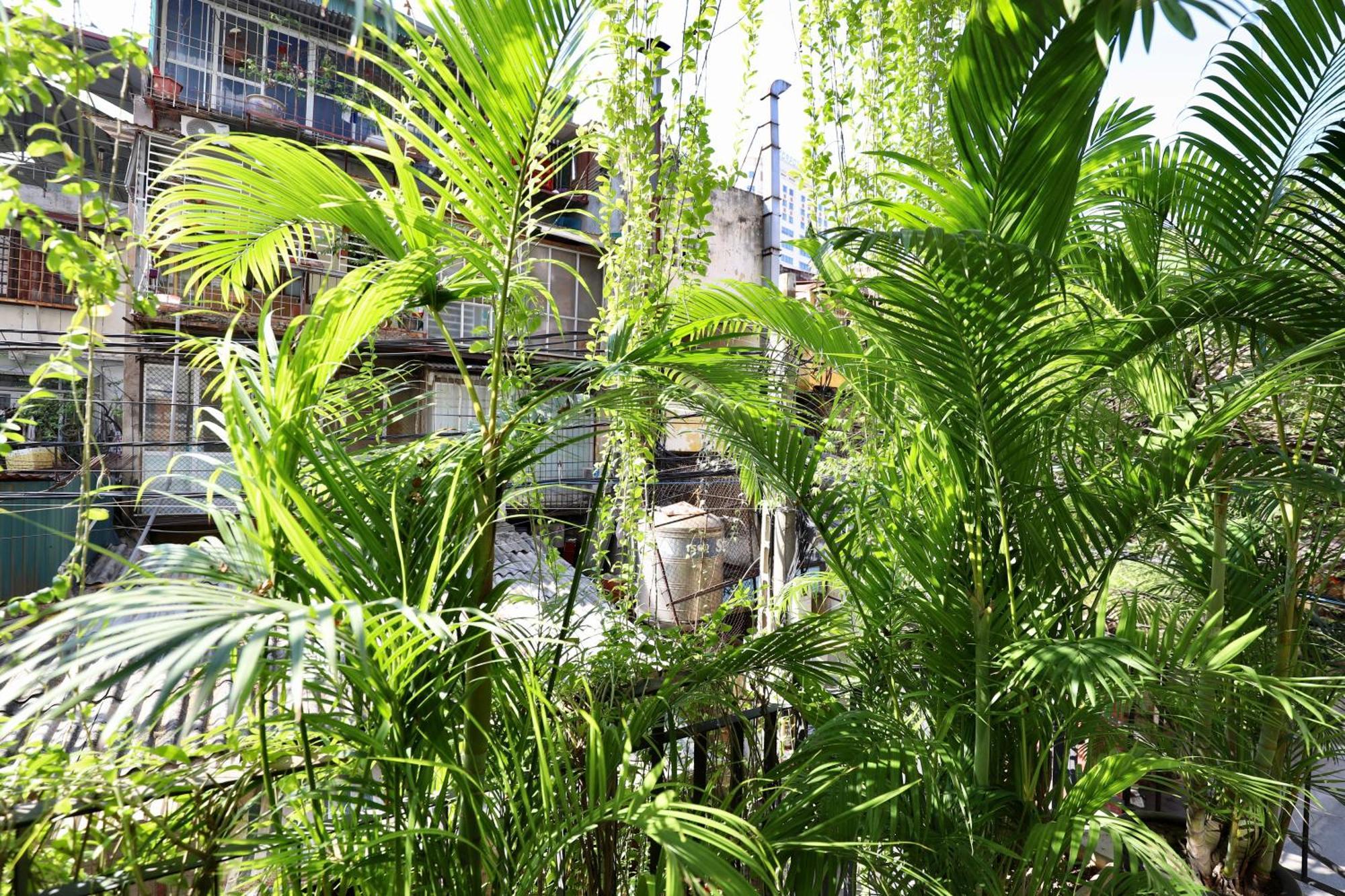 Appartamento The Garden House Hanoi Esterno foto